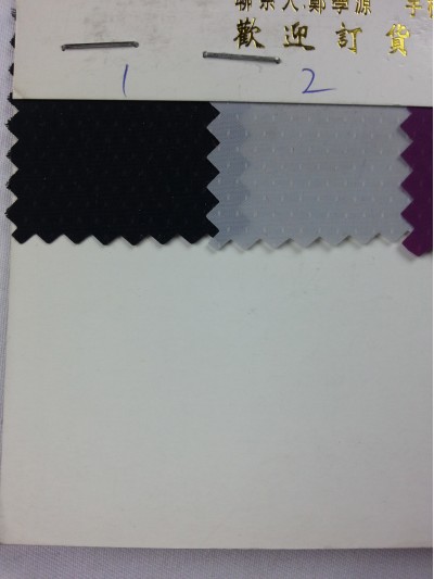 DG-YNSG  滿天星 側面照